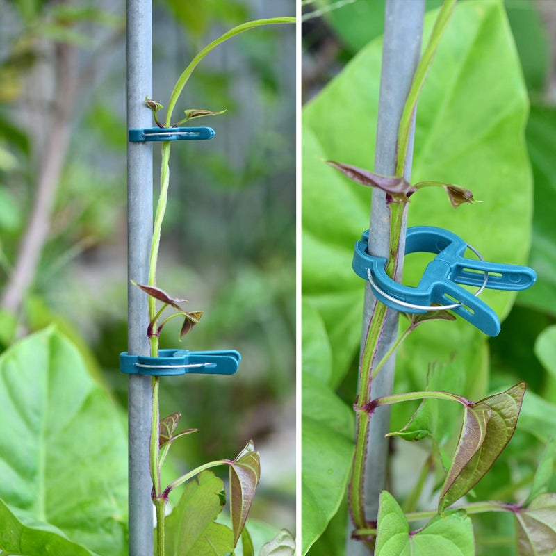 PERSZEN 60PCS Plant Clips 2 Sizes Adjusting Reusable Garden Plant Supports Clips for Supporting Stems of Flower Vine Vegetables Tomatoes Climbing - Image 5